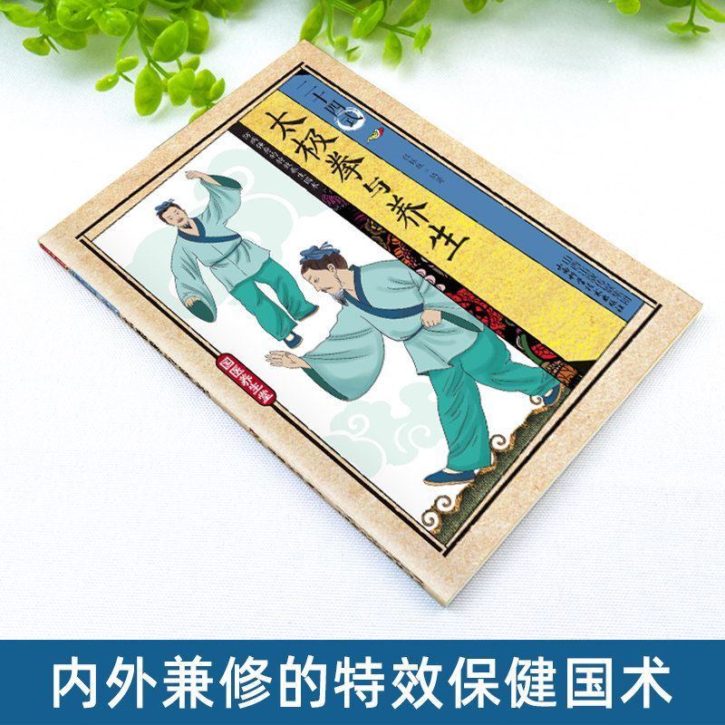 24 Style Tai Chi and Health Ex - Health & Wellness Affiliate Programs review and price