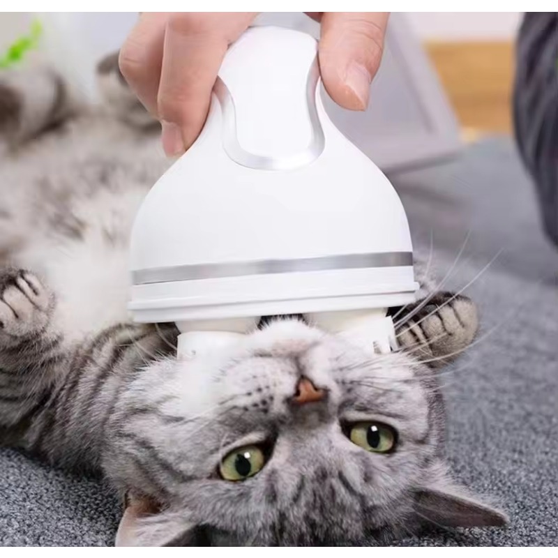Cat Smart Automatic Silicone R - Scalp Massager Electric review and price
