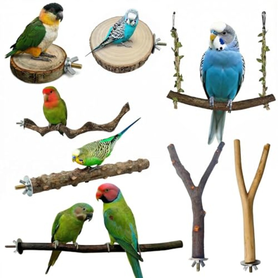8PCS natural wood bird perches - Health & Wellness Affiliate Programs review and price